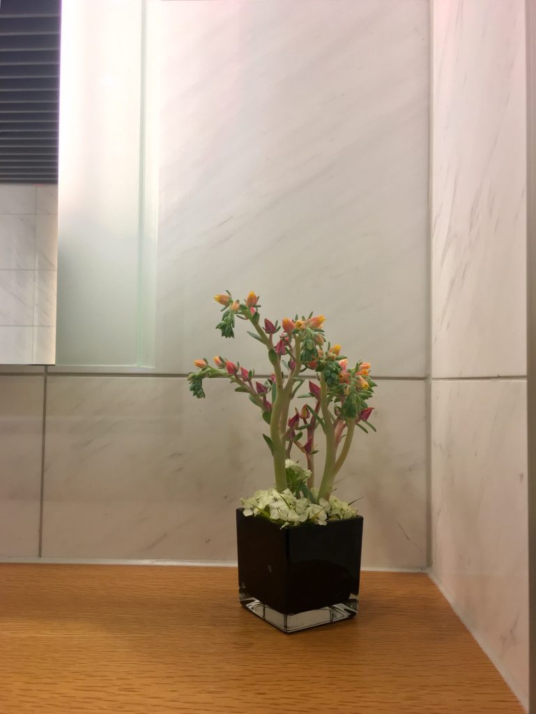 lufthansa first class lounge frankfurt lh fra