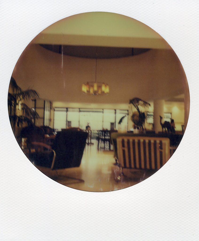 tel aviv lily and bloom boutique hotel tel aviv polaroid