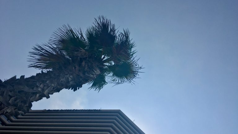 ihg ic intercontinental tel aviv