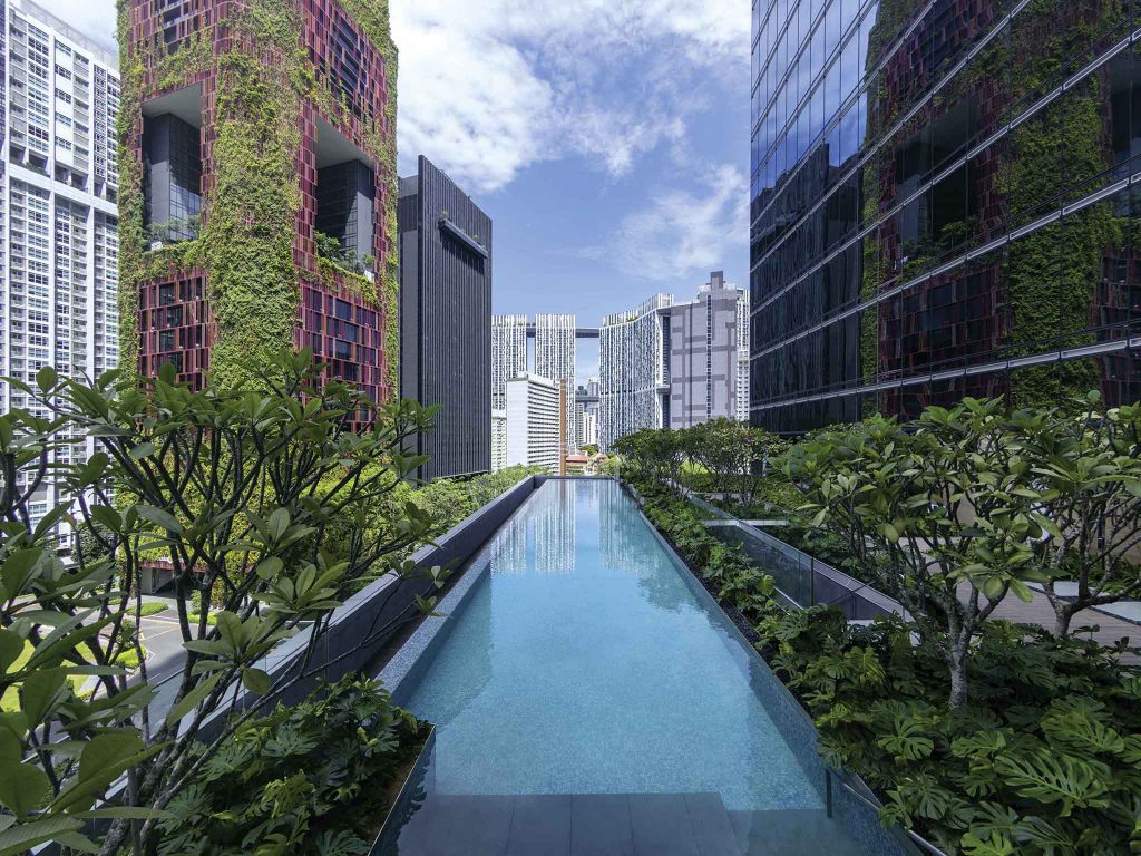 Sofitel Singapore City Centre pool