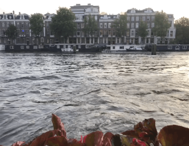 IHG InterContinental Amstel Amsterdam, River View Bewertung Review GIF