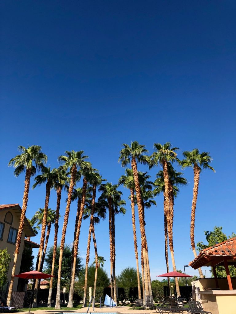hilton garden inn palm springs rancho mirage hilton honors usa california kalifornien coachella palmen palms