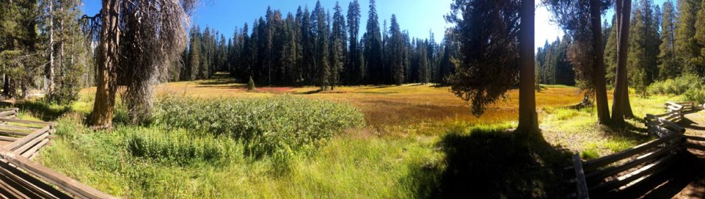 yosemite national park np nationalpark national park service nps tioga pass highway 120 mariposa lee vining