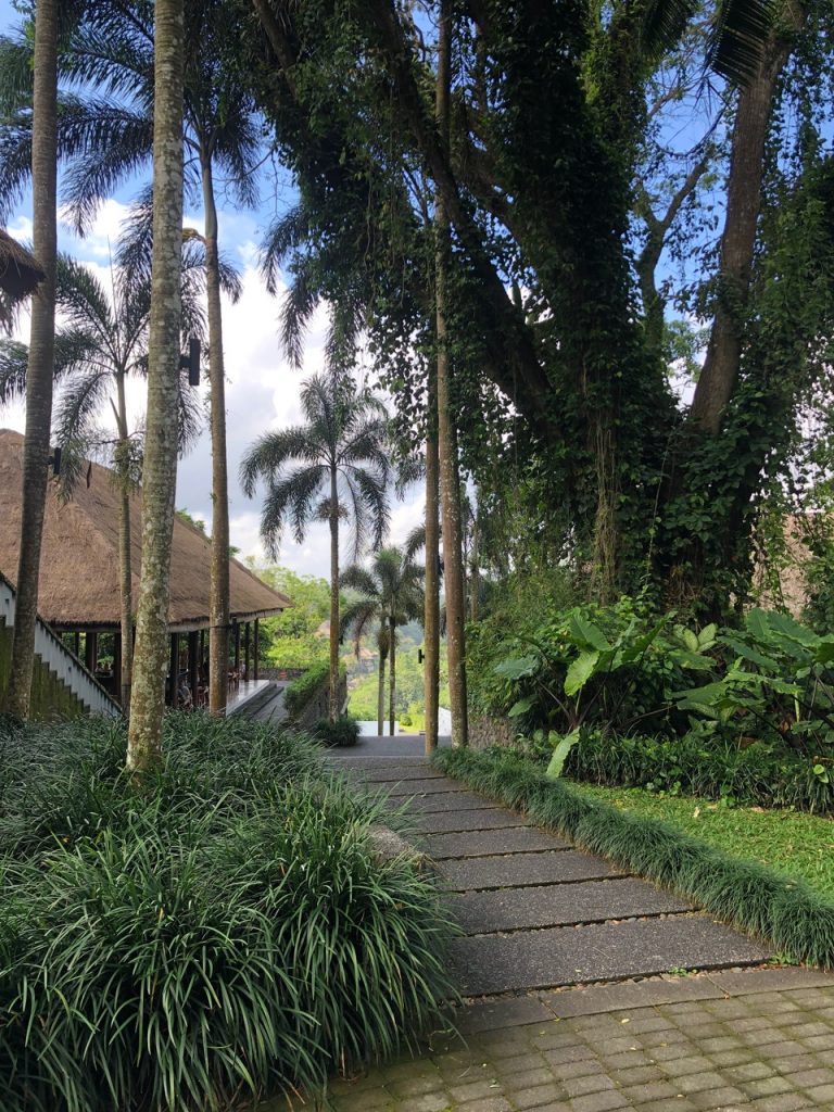 alila ubud pool villa bali world of hyatt indonesia asia asien indonesien punkte cash