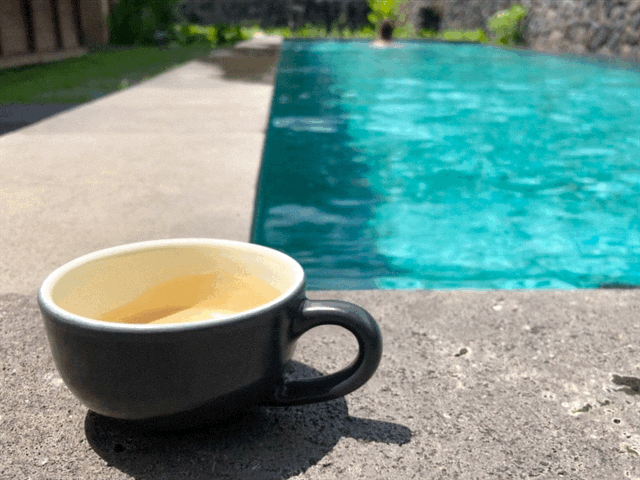 alila ubud pool villa bali world of hyatt indonesia asia asien indonesien punkte cash